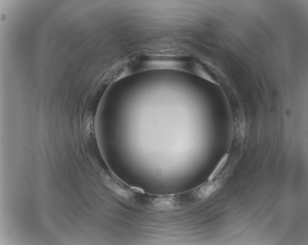 X0000063480574200601231350