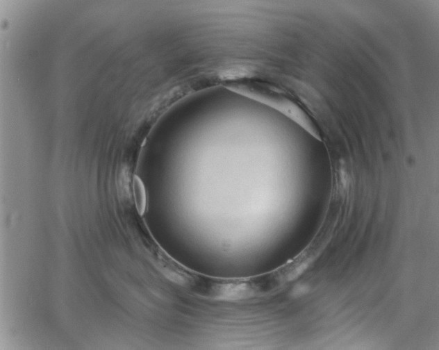 X0000063480575200601231350