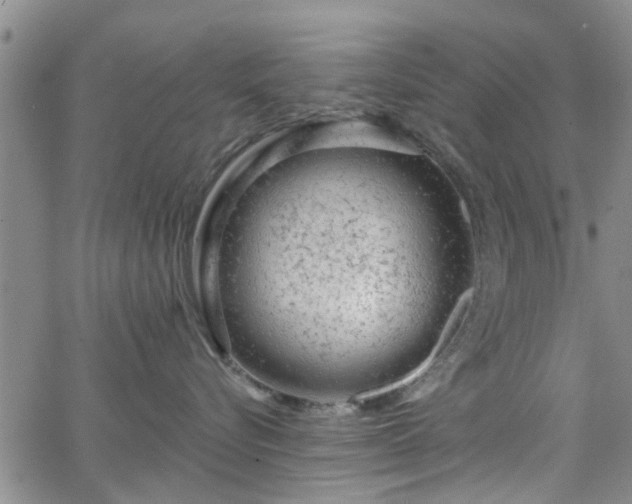 X0000063480576200601231350