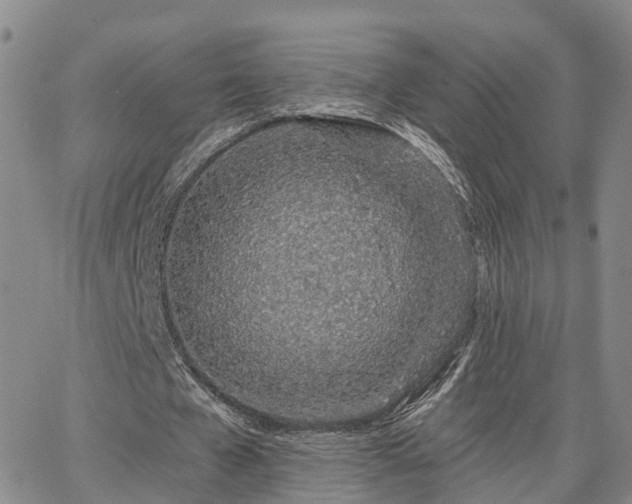 X0000063480577200601231349