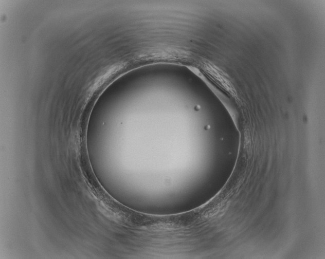 X0000063480578200601231349