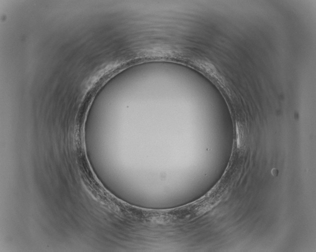 X0000063480579200601231349