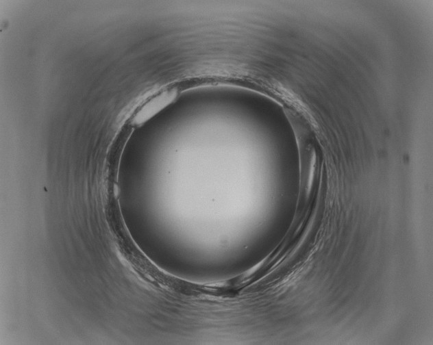 X0000063480580200601231349