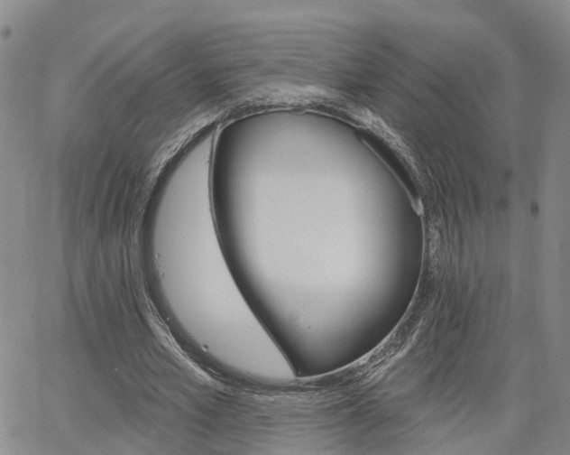 X0000063480581200601231349