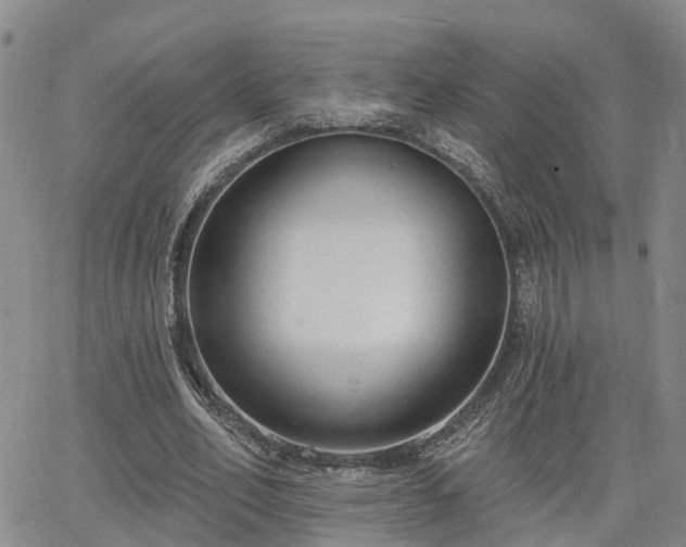 X0000063480582200601231349