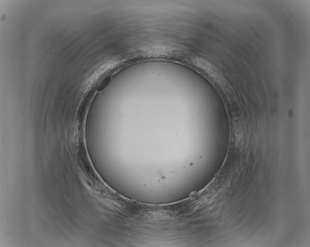 X0000063480583200601231349