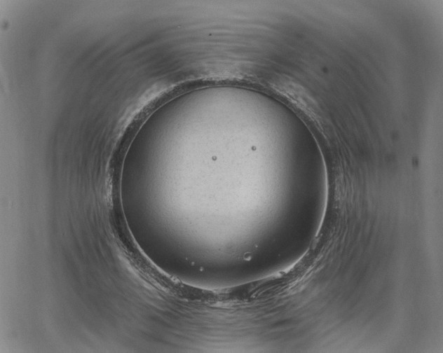 X0000063480584200601231349