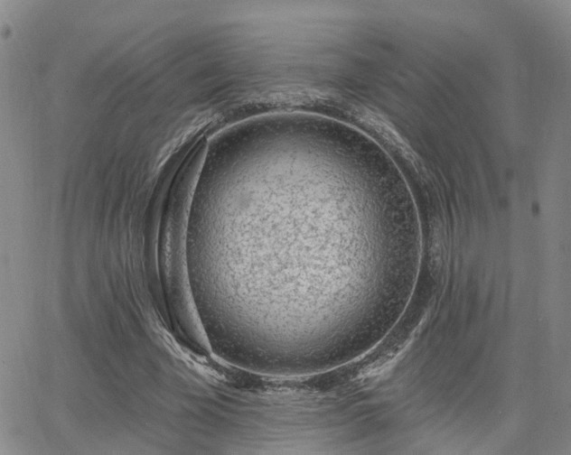 X0000063480585200601231349