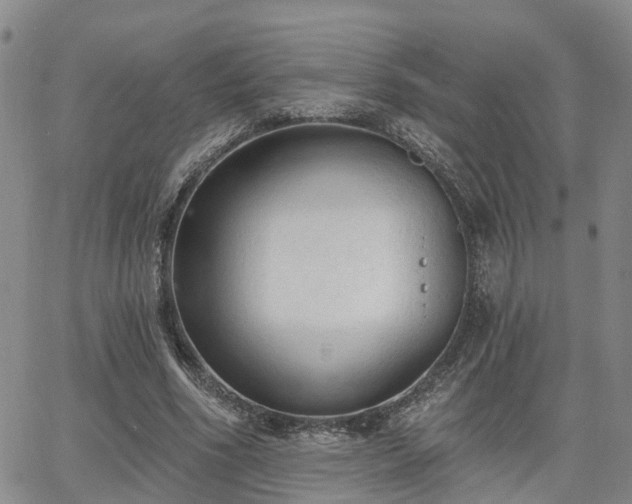 X0000063480586200601231349