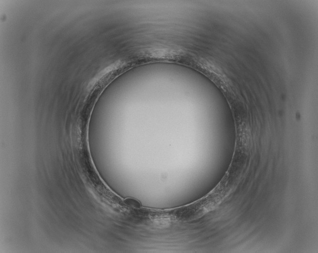 X0000063480587200601231349