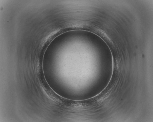 X0000063480588200601231349