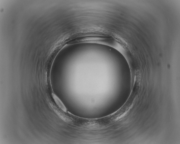 X0000063480589200601231349