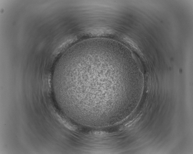 X0000063480590200601231349