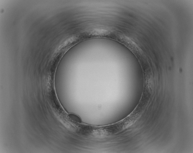 X0000063480591200601231349