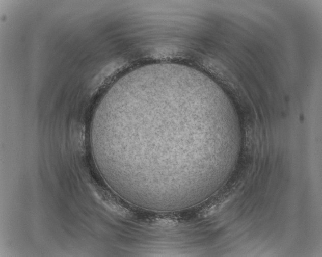 X0000063480592200601231349