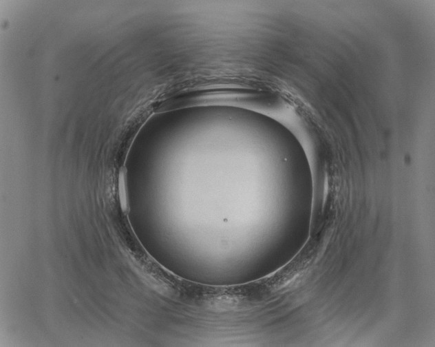 X0000063480593200601231349