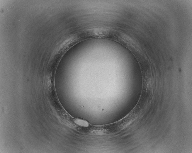 X0000063480595200601231349