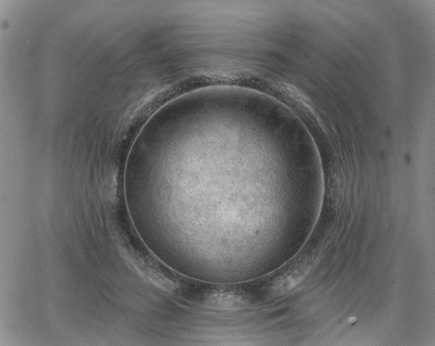 X0000063480596200601231349