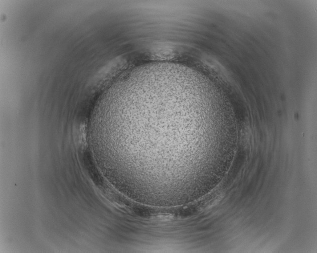 X0000063480598200601231349