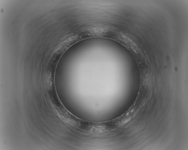 X0000063480599200601231349