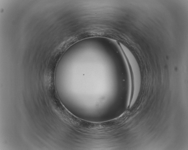 X0000063480600200601231349