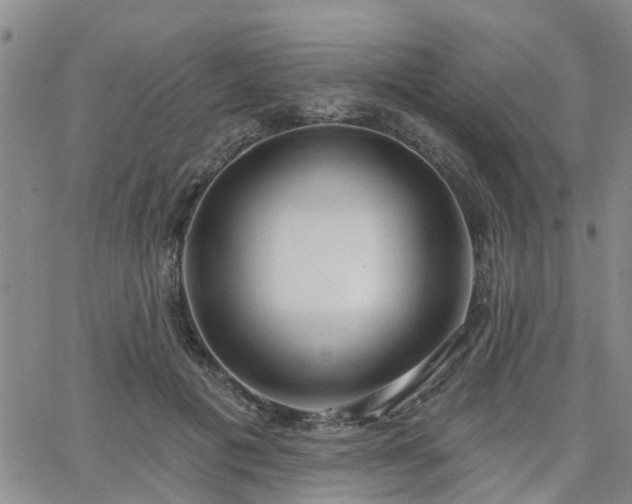 X0000063480601200601231349