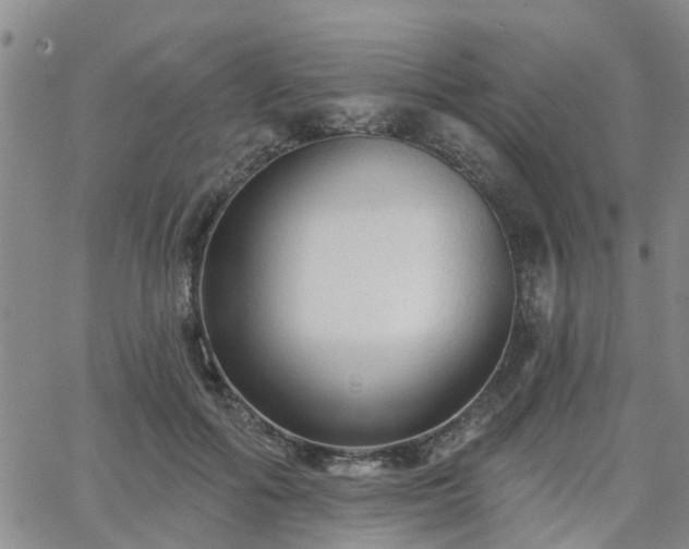 X0000063480602200601231349