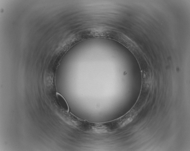 X0000063480603200601231349