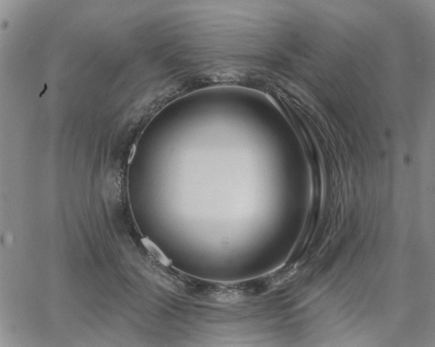 X0000063480604200601231349