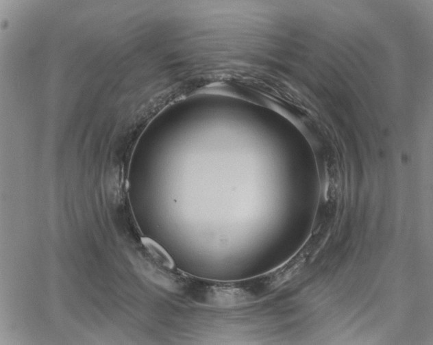 X0000063480605200601231349