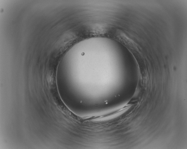 X0000063480608200601231349