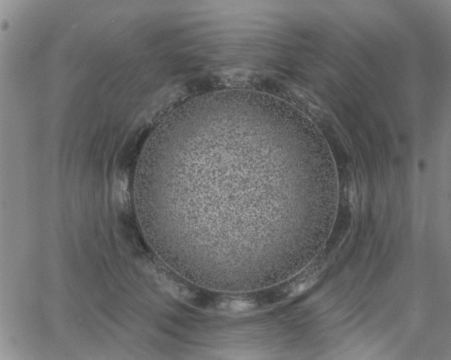 X0000063480610200601231348