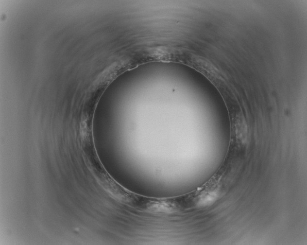 X0000063480611200601231348