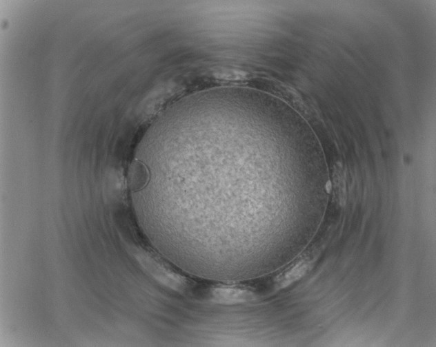 X0000063480614200601231348