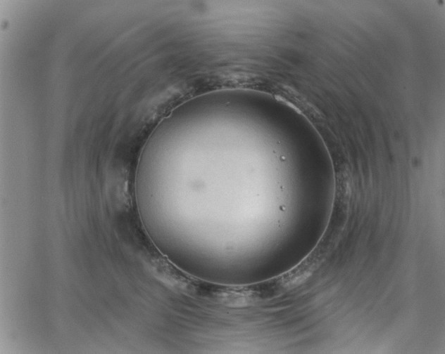 X0000063480615200601231348