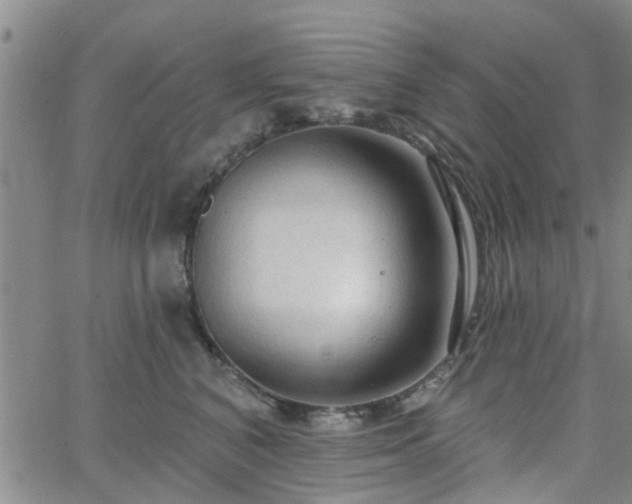 X0000063480616200601231348