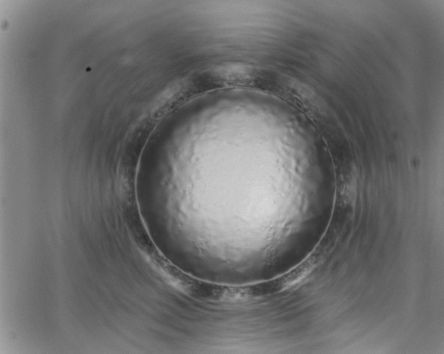 X0000063480618200601231348