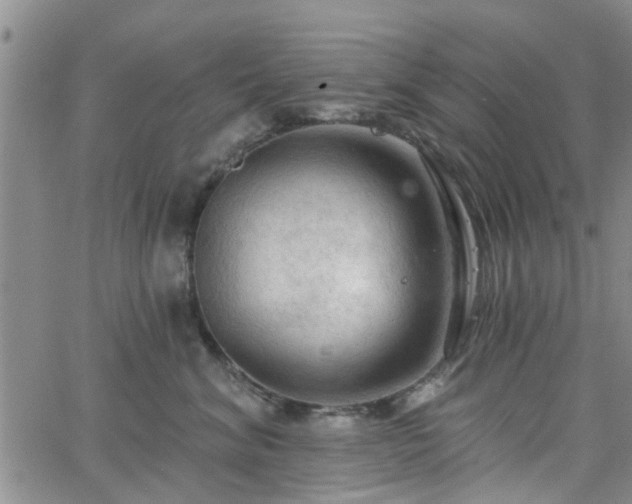 X0000063480620200601231348