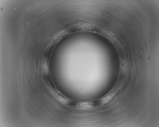 X0000063480622200601231348