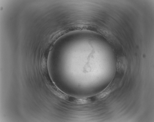 X0000063480623200601231348