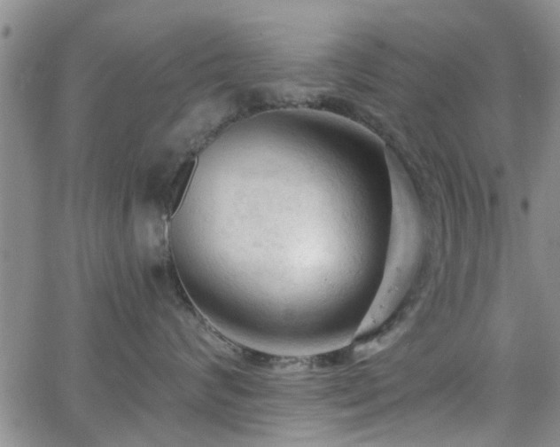 X0000063480624200601231348