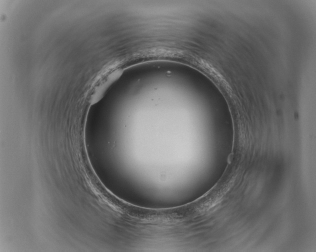 X0000063480625200601231347