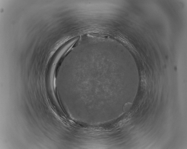 X0000063480626200601231347