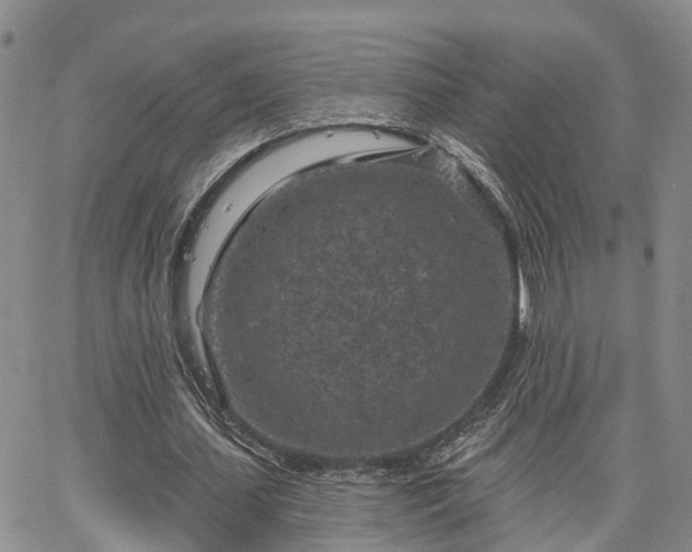 X0000063480627200601231347