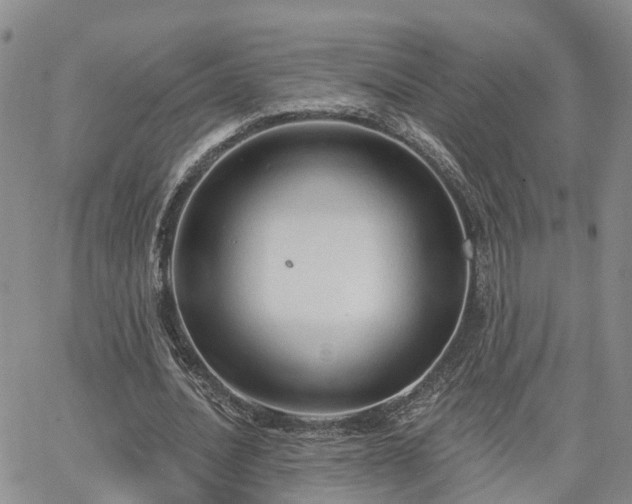 X0000063480628200601231347