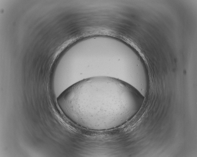 X0000063480629200601231347