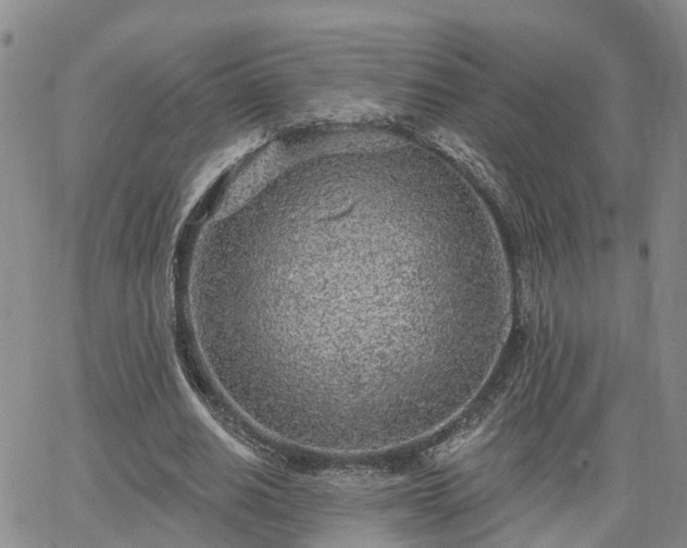 X0000063480630200601231348