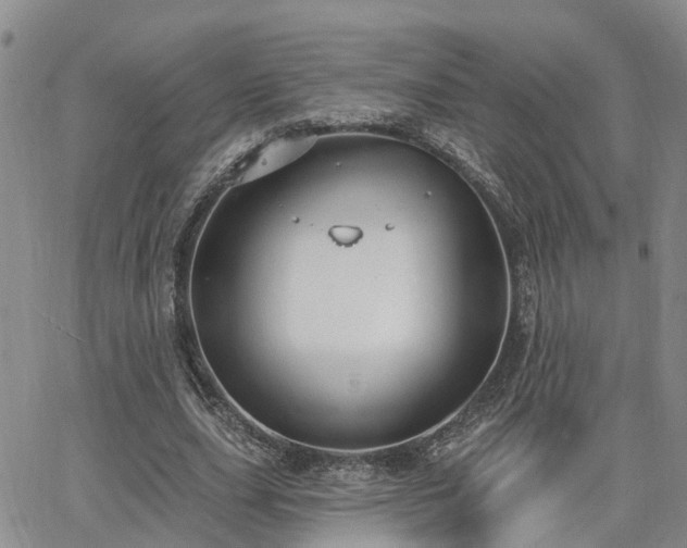 X0000063480631200601231348