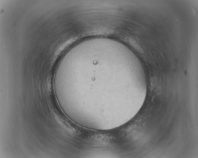 X0000063480632200601231348