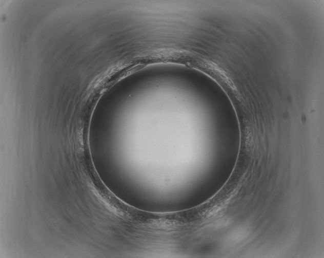 X0000063480633200601231348